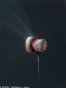 Needle_Moxa_2_a_P4051775