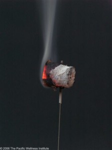 Needle_Moxa_3_a_P4051783